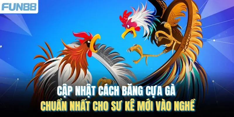 Cập Nhật Cách Băng Cựa Gà Chuẩn Nhất Cho Sư Kê Mới Vào Nghề