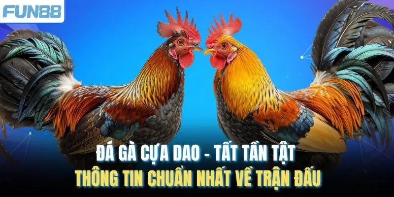 Đá Gà Cựa Dao - Tất Tần Tật Thông Tin Chuẩn Nhất Về Trận Đấu