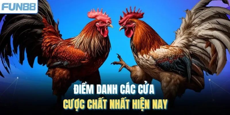 Điểm danh các cửa cược chất nhất hiện nay