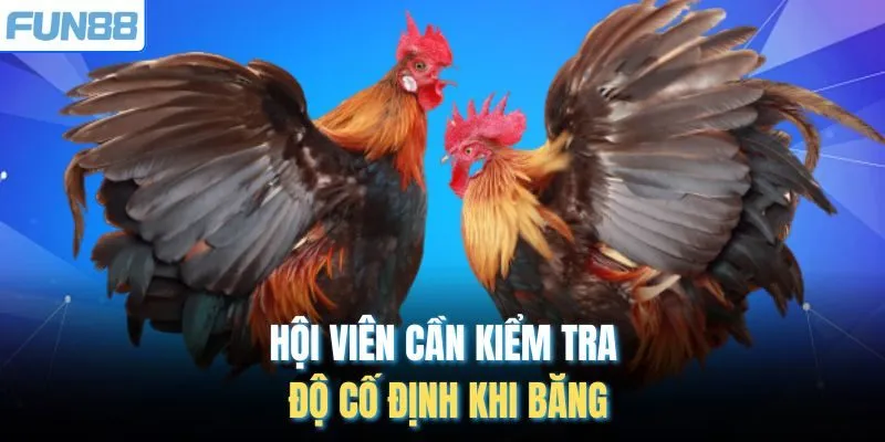 Hội viên cần kiểm tra độ cố định khi băng