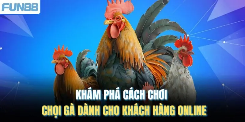 Khám phá cách chơi chọi gà dành cho khách hàng online