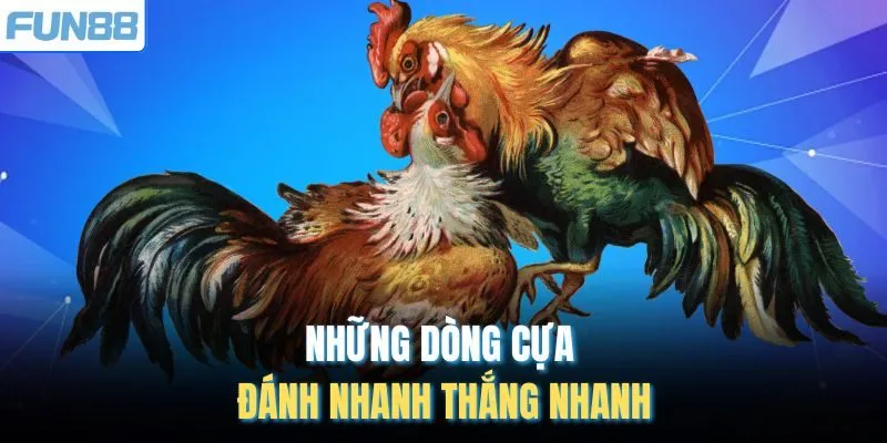 Những dòng cựa đánh nhanh thắng nhanh