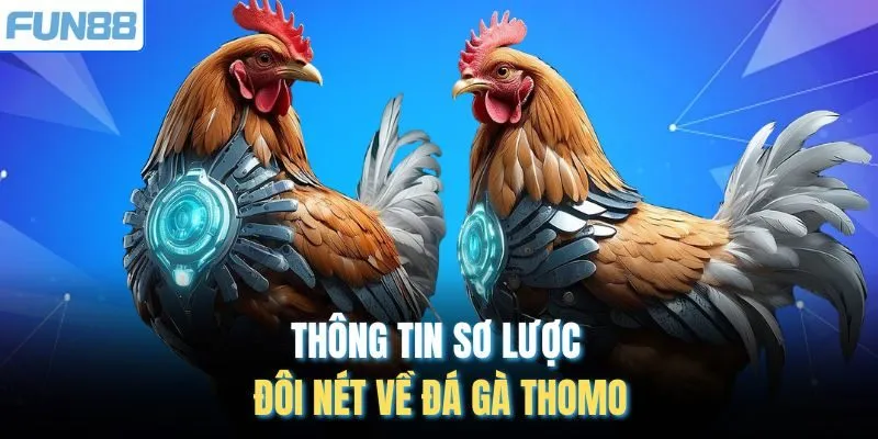 Thông tin sơ lược đôi nét về đá gà Thomo