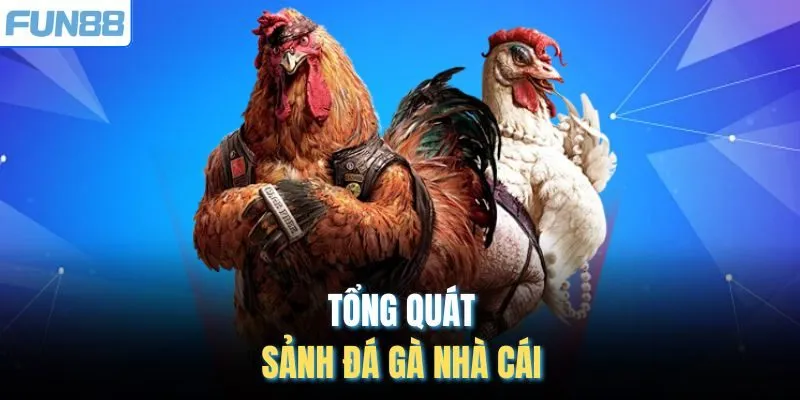 Tổng quát sảnh đá gà nhà cái